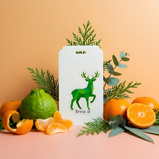 Terra II | Cypress & Bergamot | Magnetic Car Scent