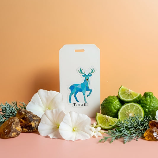 Terra III | Moonflower & Black Cypress | Magnetic Car Scent