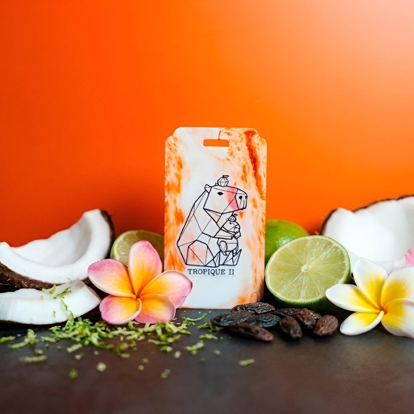 Tropique II | Coconut & Lime Fragrance | Magnetic Car Scent