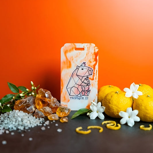 Tropique III | Japanese Yuzu & Jasmine Fragrance | Magnetic Car Scent